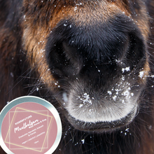 Laden Sie das Bild in den Galerie-Viewer, Maulbalsam Maja (Pferd und Hund)