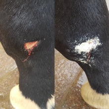 Laden Sie das Bild in den Galerie-Viewer, Erste Hilfe Puder - Paul (Pferd und Hund)