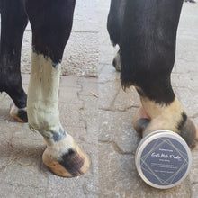 Laden Sie das Bild in den Galerie-Viewer, Erste Hilfe Puder - Paul (Pferd und Hund)