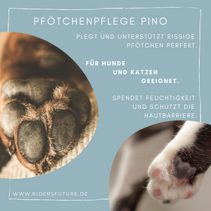 Pfötchenpflege Pino (Hund & Katze)