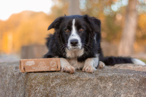 Umweltfreundliche Hundehäufchen "Beutel" - PooPick